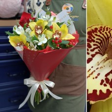 С благодарностью