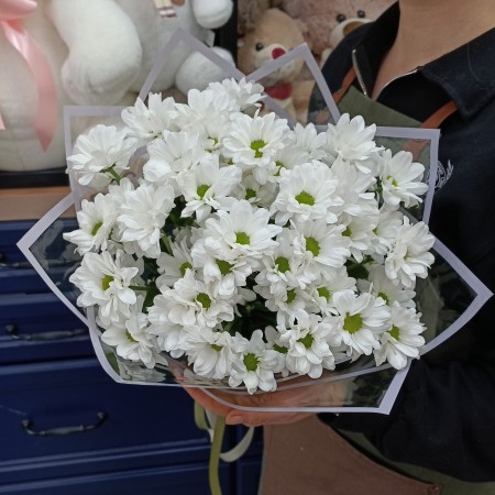 Хризантемы кустовые  7шт
